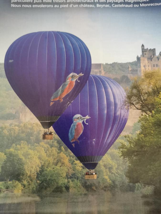 Gite La Borie Du Bois Sarlat Saint-Andre-d'Allas 외부 사진