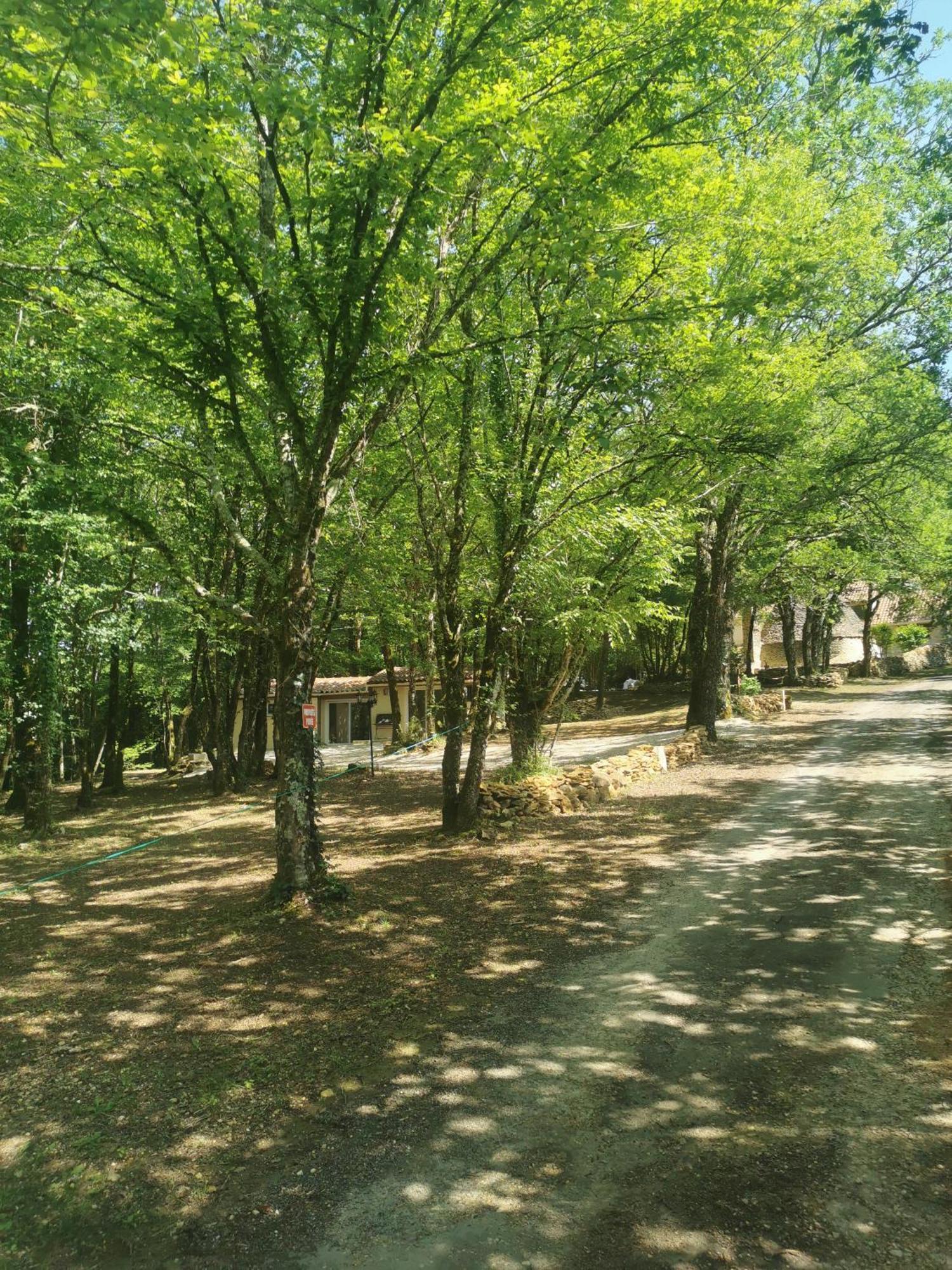 Gite La Borie Du Bois Sarlat Saint-Andre-d'Allas 외부 사진